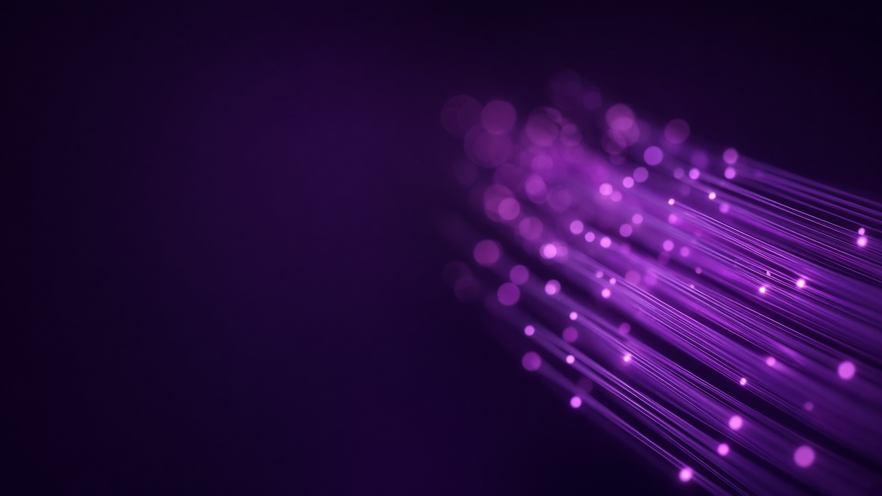Fibra óptica para empresas en Guardamar, Torrevieja y Pilar de la Horadada